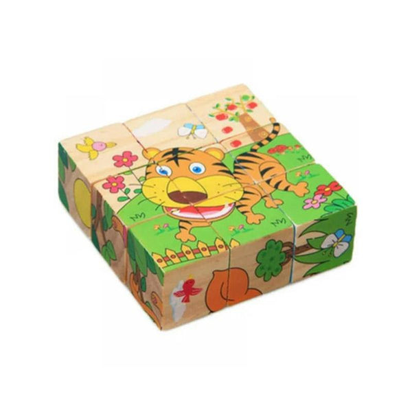 6 Sided Wooden Puzzule