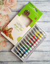 6ml Acrylic Paint , Pack of 12
