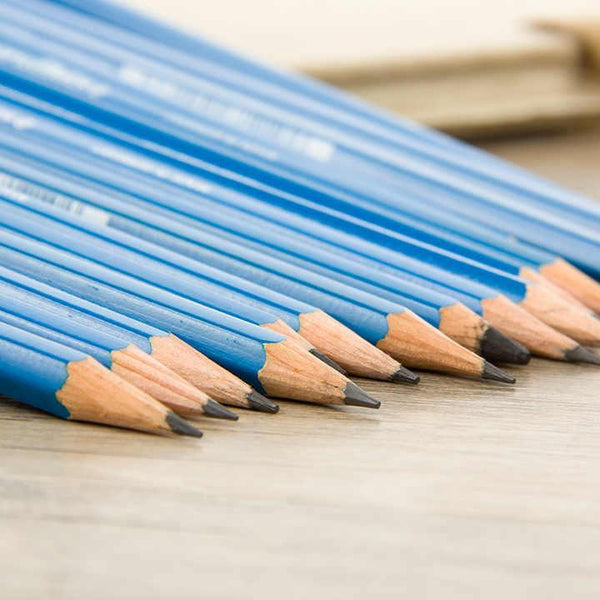 12 Pcs Premium Graphite Pencils For Drawing And Sketching