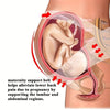 Pregnancy Safety Belt